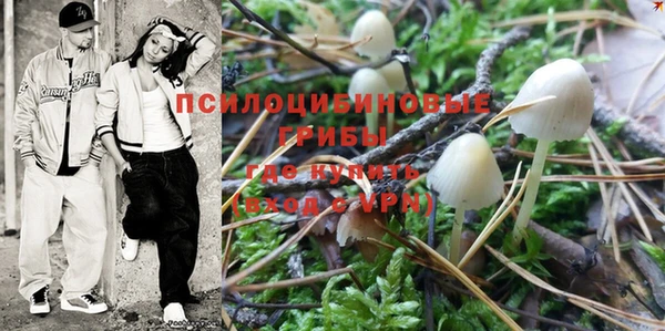 мескалин Арсеньев