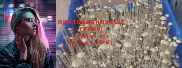 мескалин Арсеньев